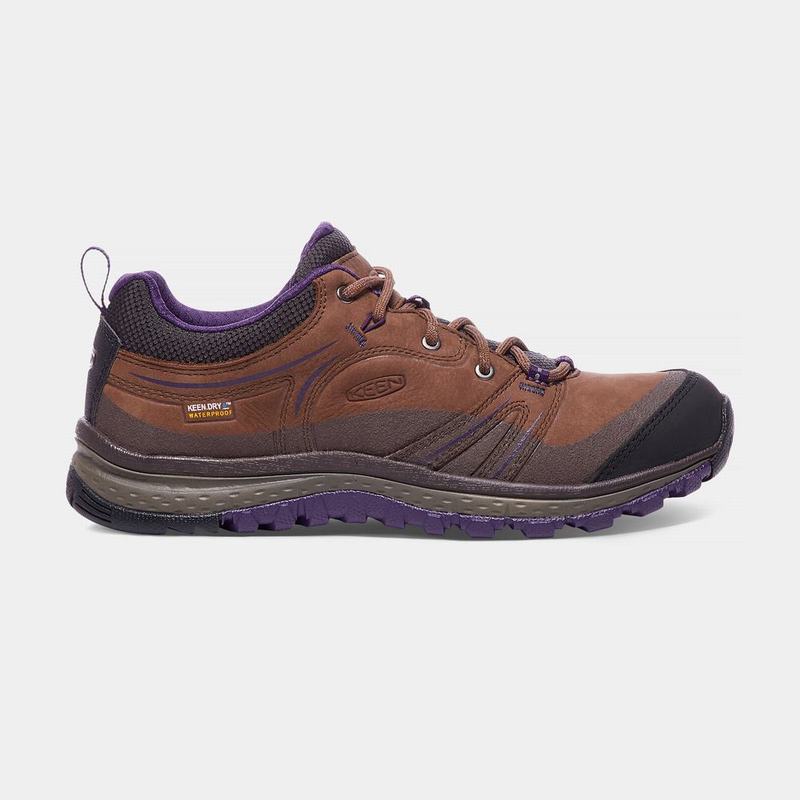 Keen 靴 | キーンテラドラレザーウォータープルーフ 登山 靴 レディース ブラウン / 紫 | 865703-ZNC